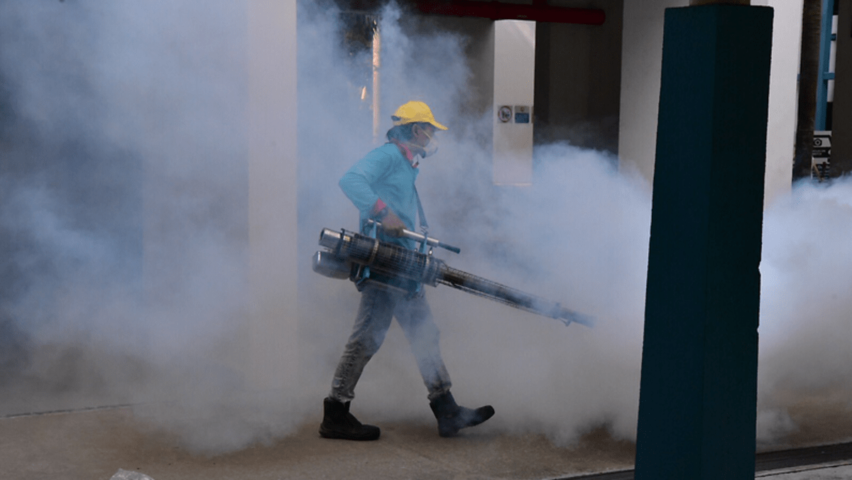weekly-dengue-cases-fall-below-600-in-september-but-continued-vigilance-is-critical-nea