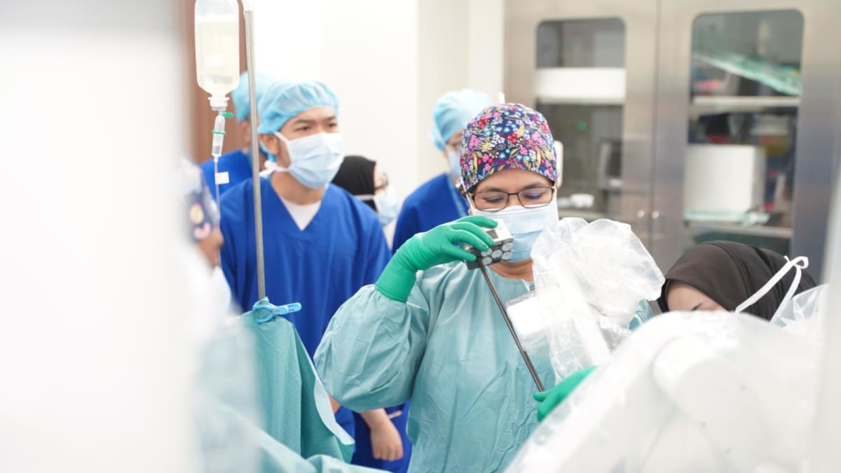 ‘Terjangkau dengan fasilitas canggih’: Semakin banyak orang asing yang berobat ke rumah sakit swasta di Johor untuk mendapatkan perawatan
