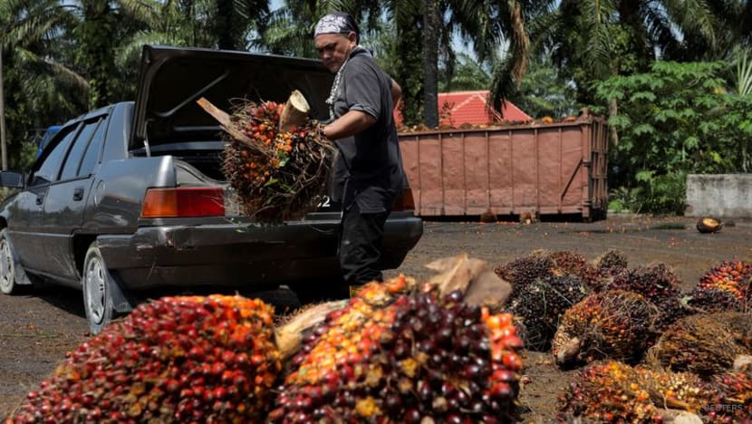 Malaysia's end-Sep palm oil stocks seen hitting near three-year peak 