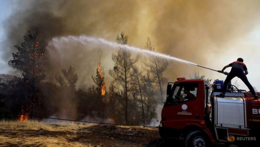 Mediterranean has become a 'wildfire hotspot', EU scientists say Mediterranean has become a 'wildfire hotspot', EU scientists say