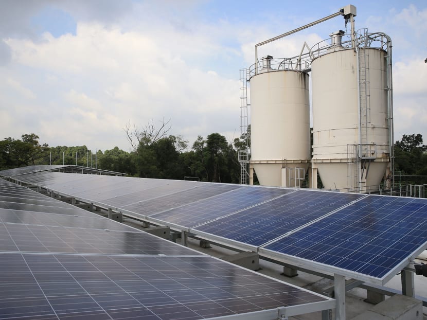 The Solar Photovoltaic system at Choa Chu Kang Waterworks on June 25, 2015. Photo: Wee Teck Hian