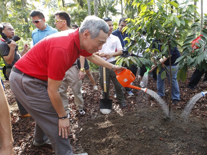 Enhancing natural habitats, recovery efforts among initiatives set for Pulau Ubin