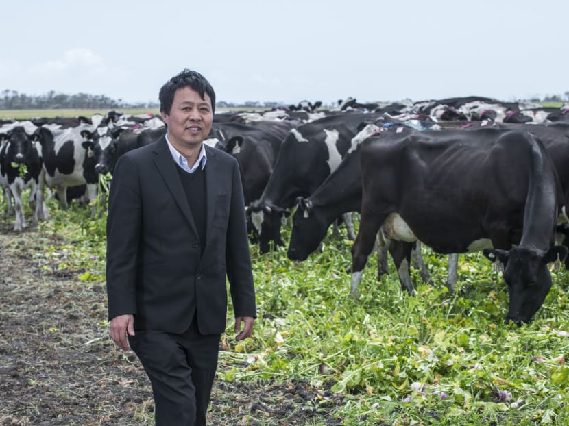In an undated handout photo, Mr Lu Xiangeng on Australia’s largest dairy, which he bought in 2016. The acquisition of the dairy was funded by loads of debt, the type of opaque deal-making that worries regulators around the world. Photo: Chris Crerar via The New York Times