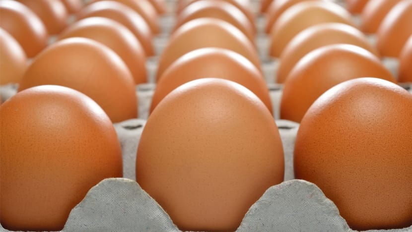 Singapore to start importing eggs from Indonesia Singapore to start importing eggs from Indonesia