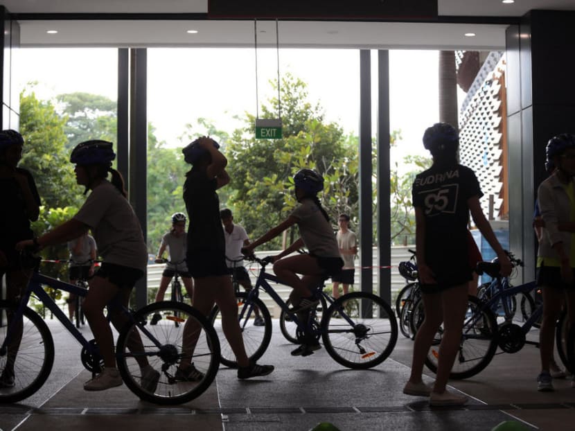 Tour participants must still remain in sub-groups of five — the prevailing social gathering group limit, the Singapore Tourism Board said in the news release. Tour participants must still remain in sub-groups of five — the prevailing social gathering group limit, the Singapore Tourism Board said in the news release.