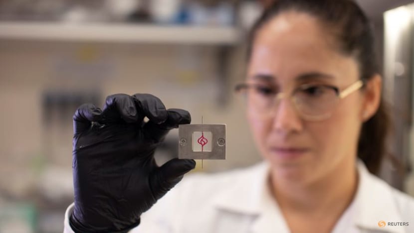 Cancer patients' own cells used in 3D printed tumours to test treatments Cancer patients' own cells used in 3D printed tumours to test treatments
