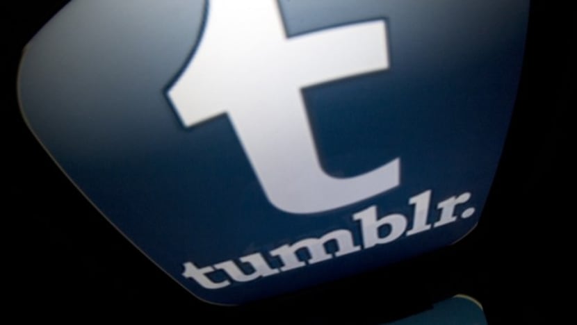 Polytechnic student who uploaded friend's sex clip to Tumblr gets jail