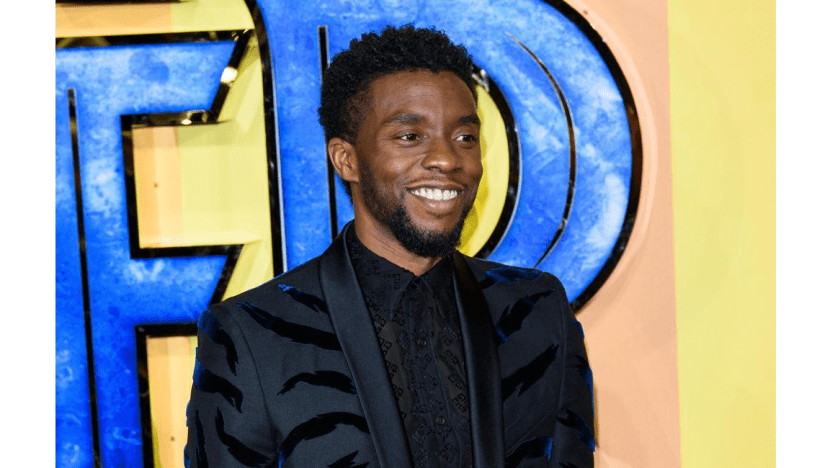 Watch Emmys 2020 Pay Tribute To Chadwick Boseman, Naya Rivera And More In Memoriam Segment Watch Emmys 2020 Pay Tribute To Chadwick Boseman, Naya Rivera And More In Memoriam Segment