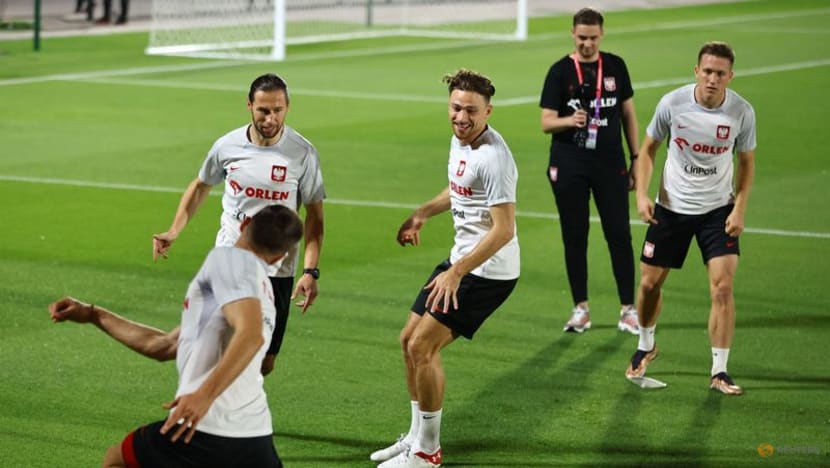 Poland's Cash asks Aston Villa team mate Martinez for World Cup favour Poland's Cash asks Aston Villa team mate Martinez for World Cup favour