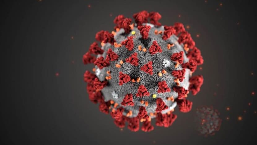 Virus korona baru dinamakan 'Covid-19': WHO