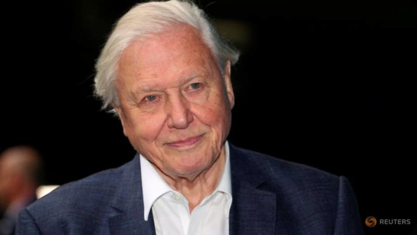 David Attenborough leads call for world to invest US$500 billion a year to protect nature David Attenborough leads call for world to invest US$500 billion a year to protect nature