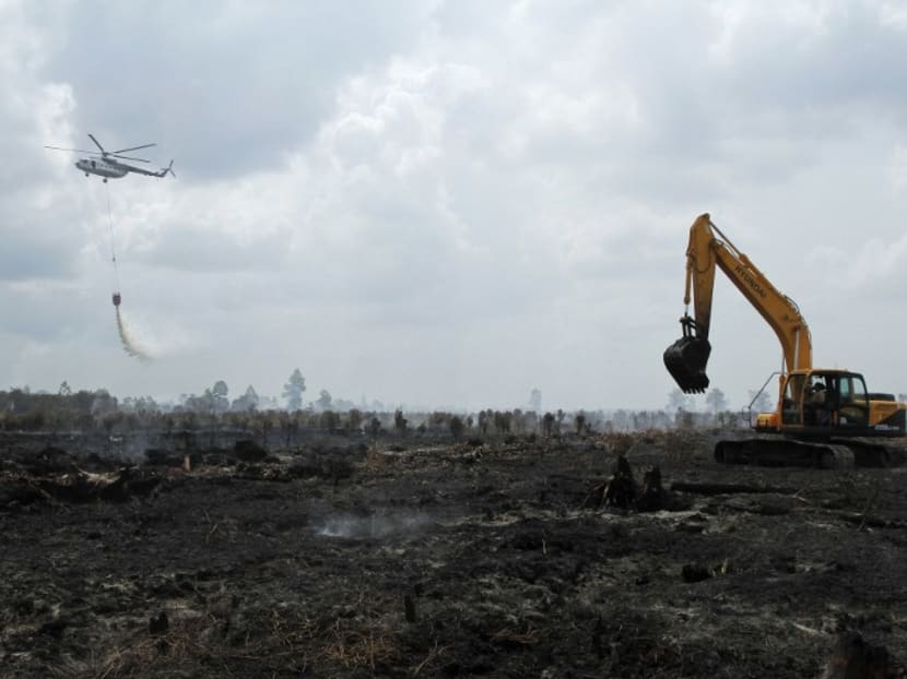 Haze fears rise as Riau hotspots increase Haze fears rise as Riau hotspots increase