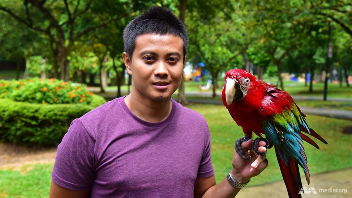 Flying high The art of training birds to roam free takes off CNA
