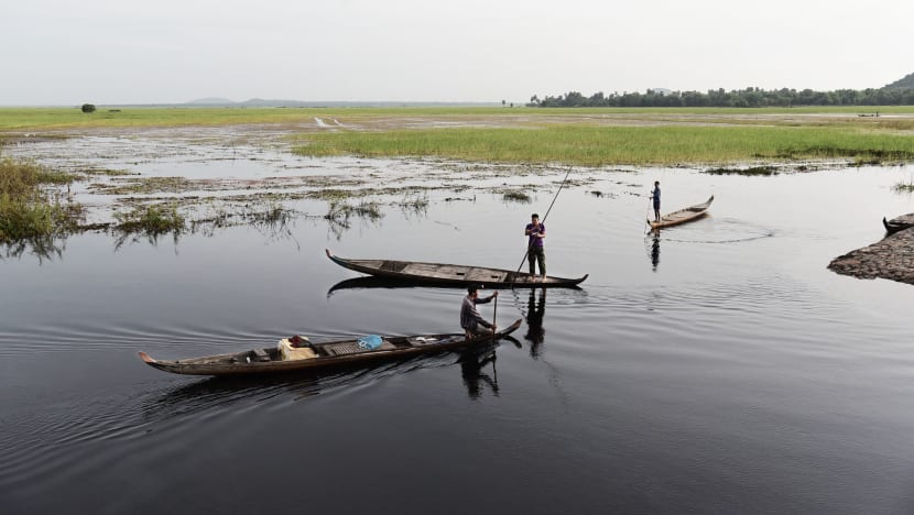 Floating rice: The climate-resilient alternative for Cambodia’s food ...