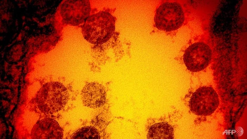 What we know about the new strain of coronavirus found in Britain What we know about the new strain of coronavirus found in Britain