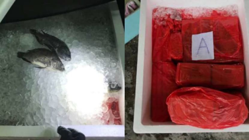 Man tries to smuggle cigarettes hidden in ice boxes of seafood through Woodlands Checkpoint Man tries to smuggle cigarettes hidden in ice boxes of seafood through Woodlands Checkpoint