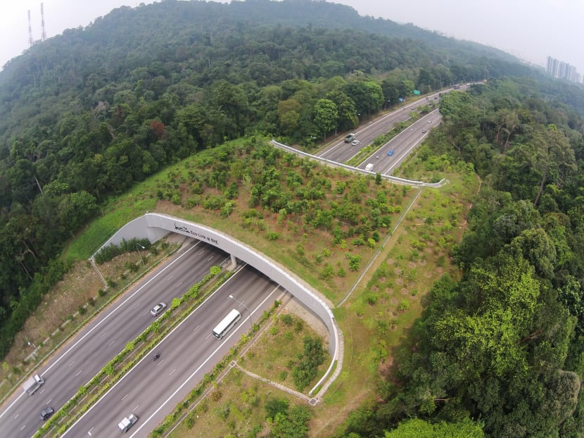 Aerial view of the Eco-Link@BKE. Photo: NParks