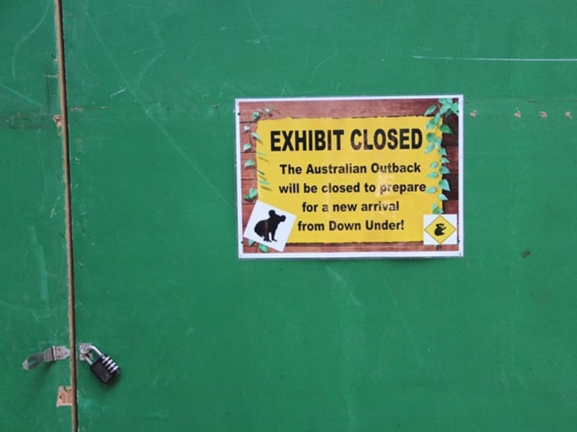 A sign at Singapore Zoo's Australian Outback exhibit  says it is closed to prepare for a "new arrival from Down Under". Photo: Channel NewsAsia