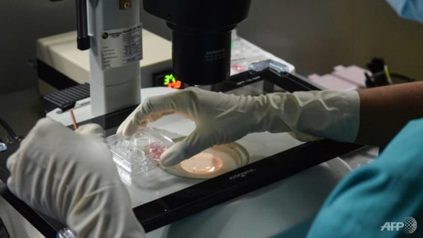 US$15 million awarded over eggs, embryos ruined at US fertility clinic