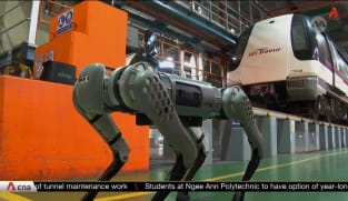 SBS Transit to explore use of robot dogs, AI on NEL | Video