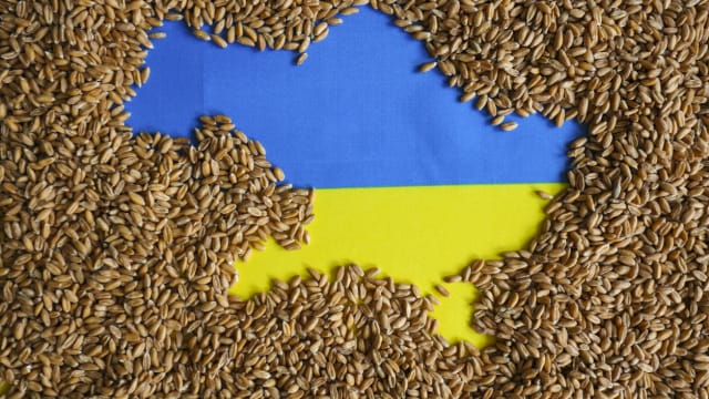 被批“食物当武器”！俄罗斯退出黑海谷物协议 通胀恐恶化