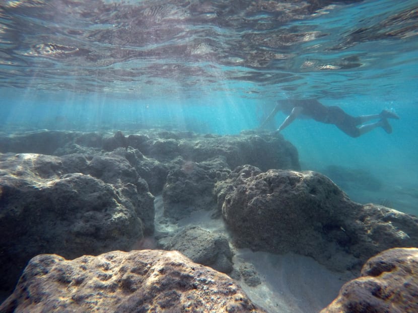 Gallery: Scientists take a stand in saving the world’s reefs