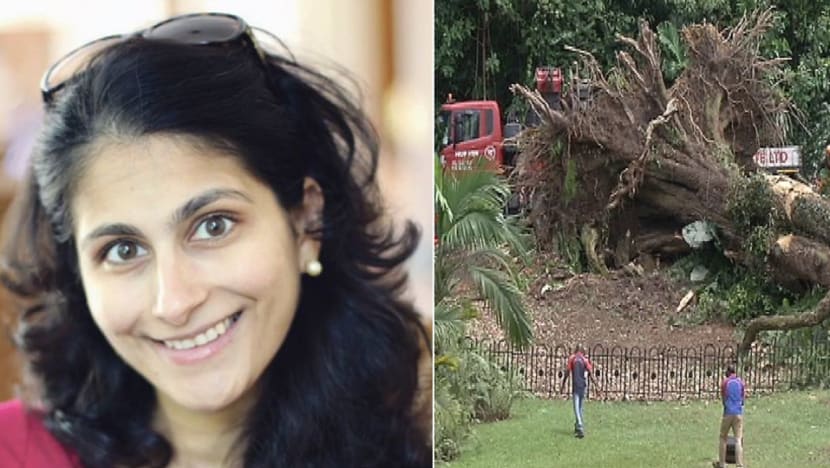 Husband of woman killed by falling tree in Botanic Gardens sues NParks