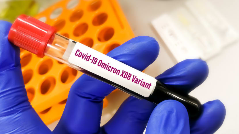 What is the new COVID-19 variant XBB1.5 and should we be concerned? What is the new COVID-19 variant XBB1.5 and should we be concerned?