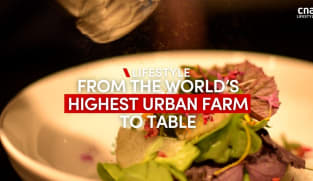 World’s highest urban farm at the rooftop of a Singapore building | CNA Lifestyle