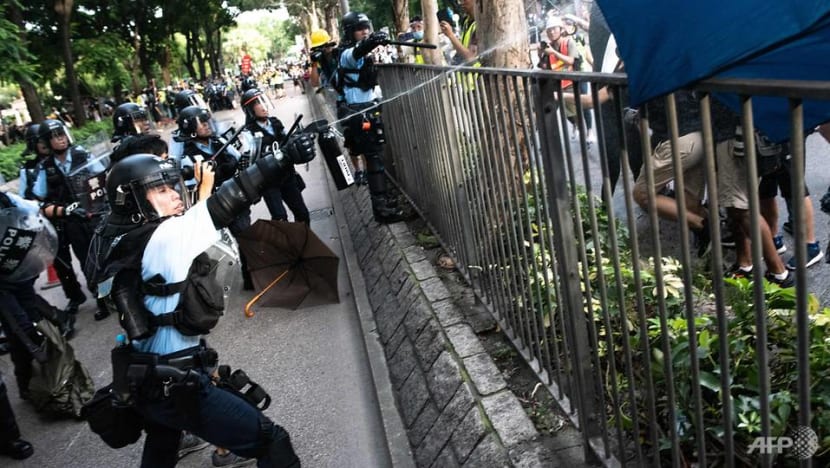 Clashes between Hong Kong police and protestors as thousands march against Chinese traders in border town Clashes between Hong Kong police and protestors as thousands march against Chinese traders in border town