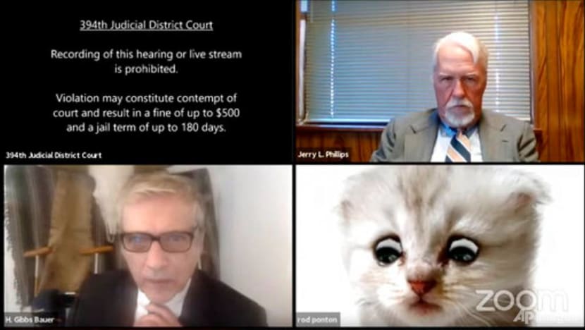 Attorney-at-paw? Zoom filter makes lawyer look like fluffy cat in court hearing Attorney-at-paw? Zoom filter makes lawyer look like fluffy cat in court hearing