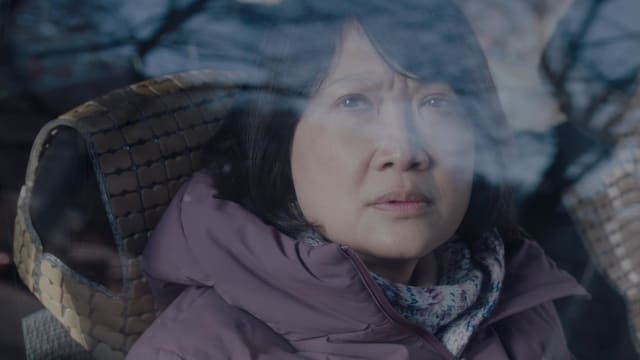 奥斯卡“最佳国际影片”初选名单出炉　《花路阿朱妈》无缘15强