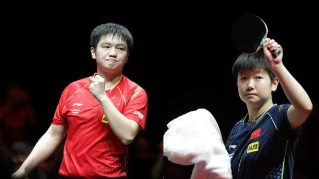 樊振东和孙颖莎 问鼎WTT世界杯决赛冠军