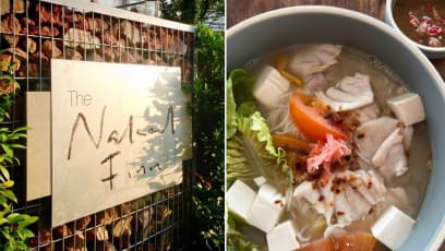 The Naked Finn latest news & coverage - 8days