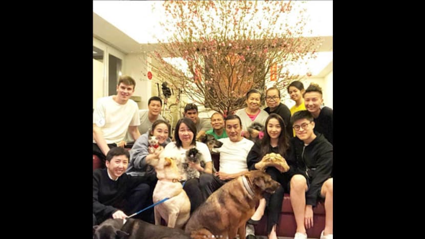 Tony Leung Ka-fai lives in a mini-zoo? Tony Leung Ka-fai lives in a mini-zoo?