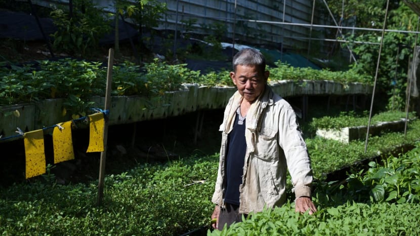 Support local or buy global: Will Singaporeans embrace local produce despite higher prices? Support local or buy global: Will Singaporeans embrace local produce despite higher prices?