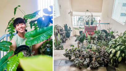 Benjamin Tan Spent $6K On Plants Last Month, Plays Classical Music For The 100 Plants In His HDB Flat