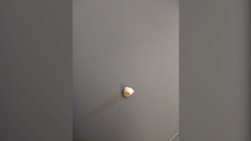 Singapore Airlines investigating after passenger finds tooth in plane meal Singapore Airlines investigating after passenger finds tooth in plane meal