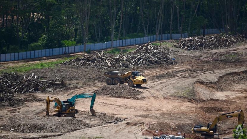 Nature advocates call for mitigation measures after error in clearing parts of Kranji woodland area Nature advocates call for mitigation measures after error in clearing parts of Kranji woodland area