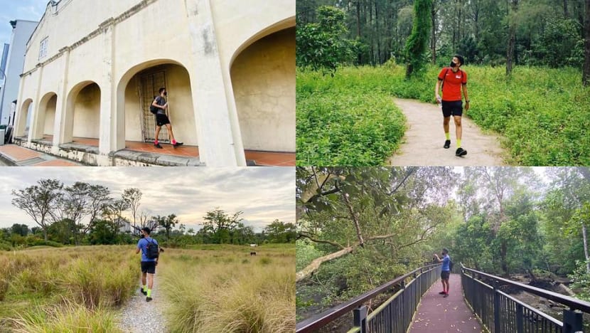 Discovering Singapore on foot: Highlights of a 5-day walk around the island Discovering Singapore on foot: Highlights of a 5-day walk around the island