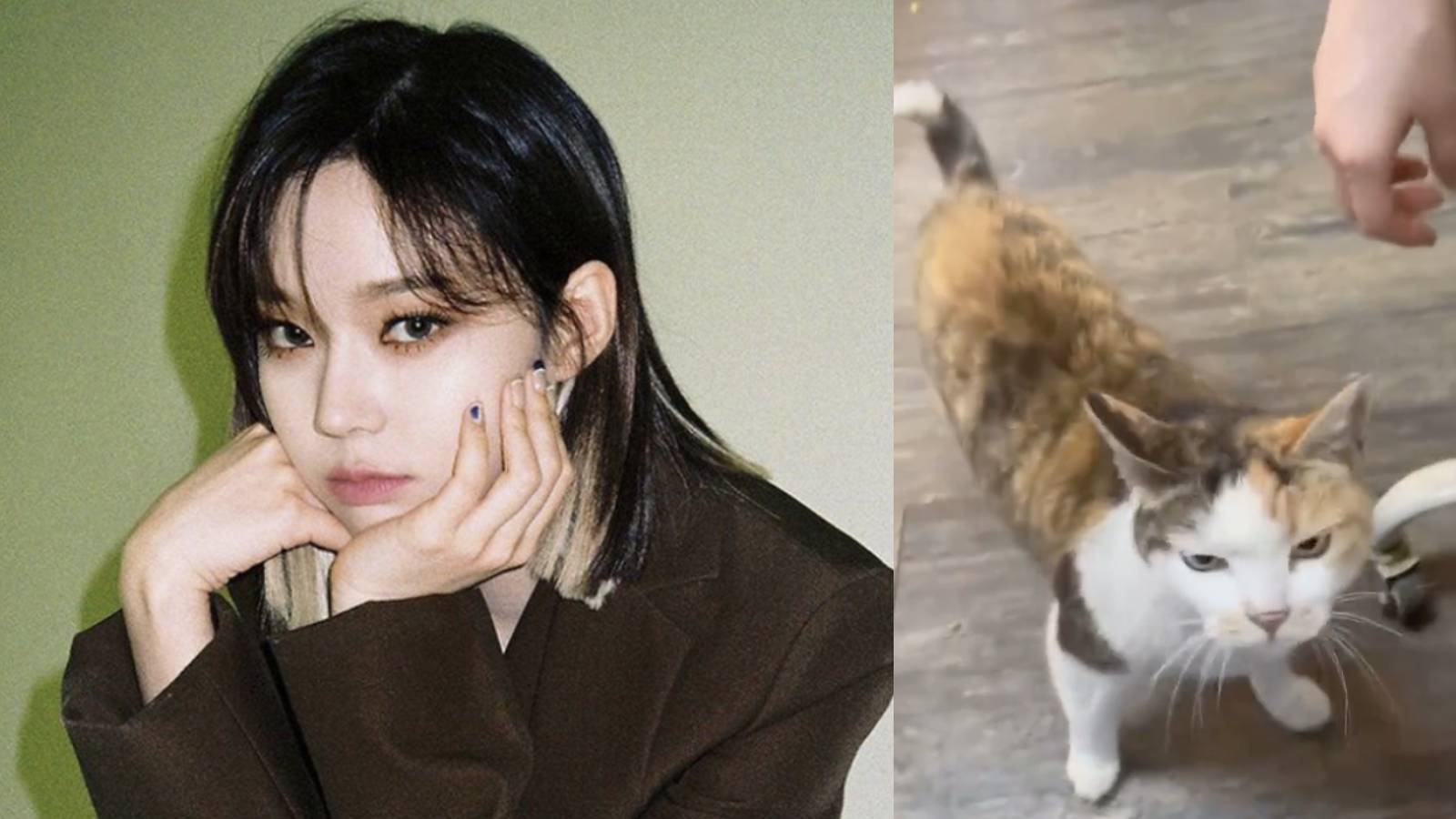 Netizens Accuse Korean Girl Group Member Of Animal Abuse 'Cos Of This Five-Second Video Netizens Accuse Korean Girl Group Member Of Animal Abuse 'Cos Of This Five-Second Video