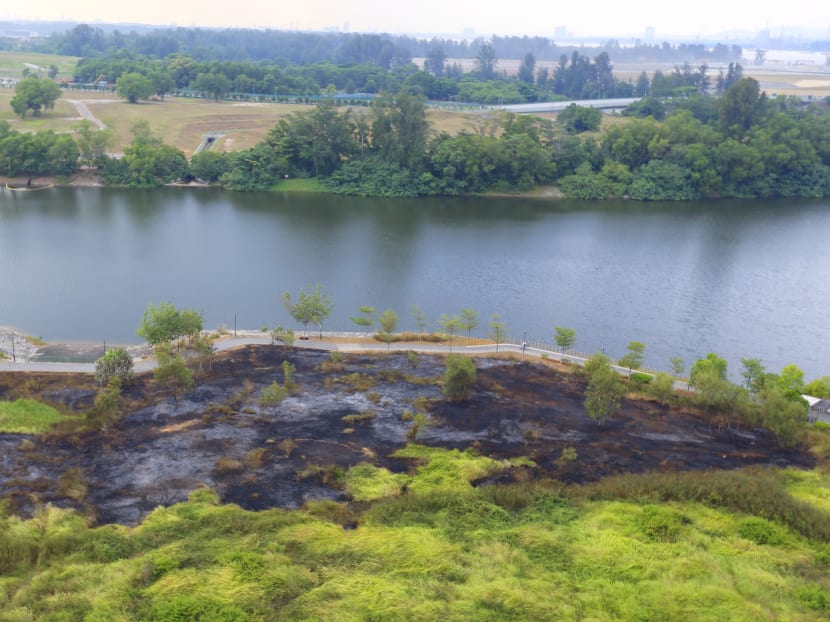 Fire breaks out at Punggol field Fire breaks out at Punggol field