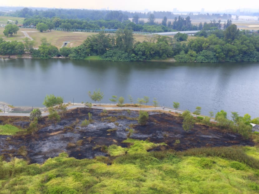 Fire breaks out at Punggol field