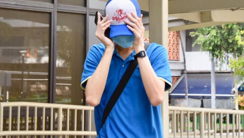 Malesiya School Sex Downloaf - NUS student Terence Siow gets jail after probation sentence for molest is  overturned - CNA