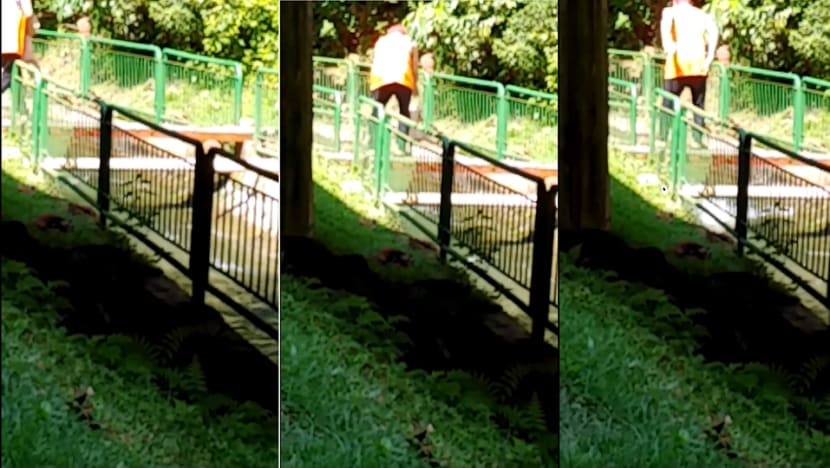 Man caught in viral video dropping dogs in canal during COVID-19 circuit breaker gets charged Man caught in viral video dropping dogs in canal during COVID-19 circuit breaker gets charged