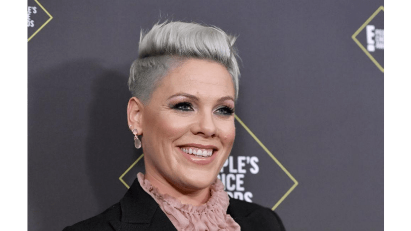 Pink wins big at People's Choice Awards 2019