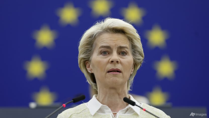 EU chief proposes Russian oil ban over war in Ukraine EU chief proposes Russian oil ban over war in Ukraine