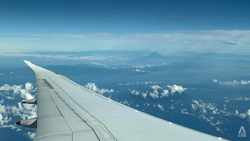 Looking at a lemon and no high-fives: Flying into Tokyo for the Olympics Looking at a lemon and no high-fives: Flying into Tokyo for the Olympics