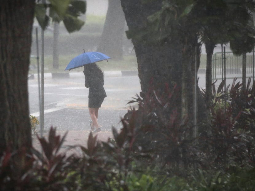Singapore will see thundery showers on six to eight days in the first two weeks of this month, mostly in the afternoon, the Meteorological Service Singapore said on Monday (Oct 1).