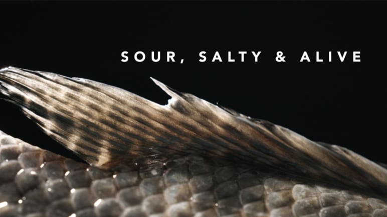 Sour, Salty & Alive